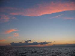 IMG_0120